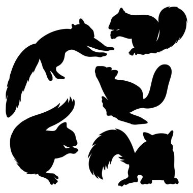 set of Squirrel silhouette bundle