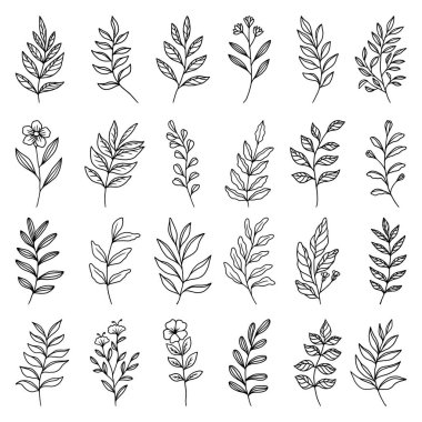  El çizimi yaprak vektörü kümesi