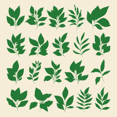 Dal kümesi ve vektör bırakır