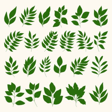 Dal kümesi ve vektör bırakır