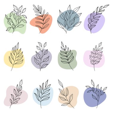 bitki ve yapraklar soyut boho şekilli