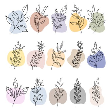 bitki ve yapraklar soyut boho şekilli