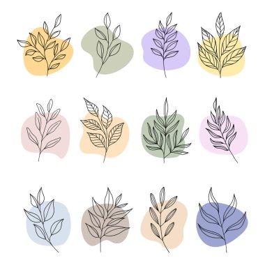 bitki ve yapraklar soyut boho şekilli