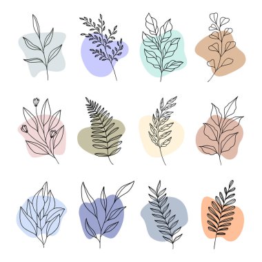 bitki ve yapraklar soyut boho şekilli