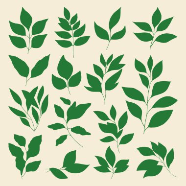  Dal kümesi ve vektör bırakır