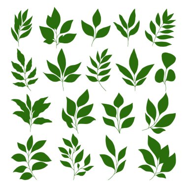  Dal kümesi ve vektör bırakır