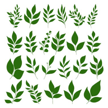  Dal kümesi ve vektör bırakır