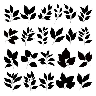 Dal kümesi ve vektör bırakır