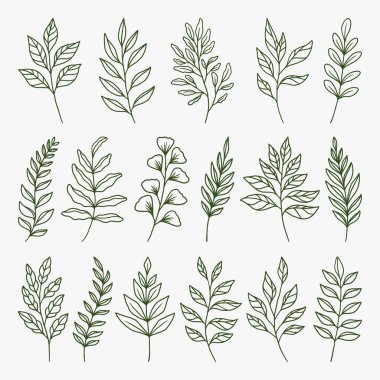 El çizimi yaprak vektörü kümesi