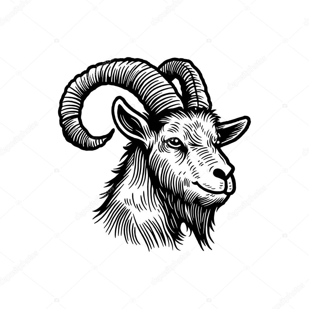 Vintage Black and White Goat Head Illustration, Bold Line Art Animal Drawing for Logo, Tattoo, and Design