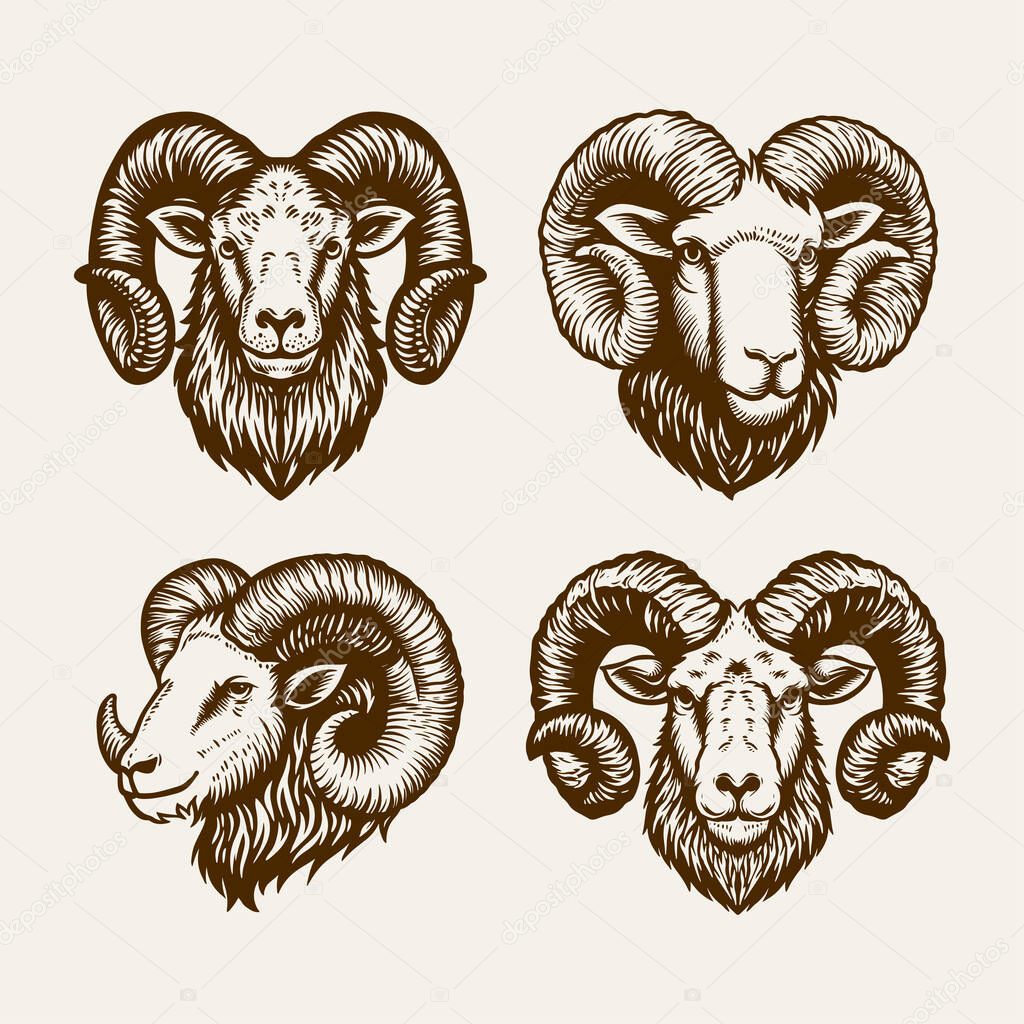 Ram Head Vector Set, Vintage Horned Goat Illustrations