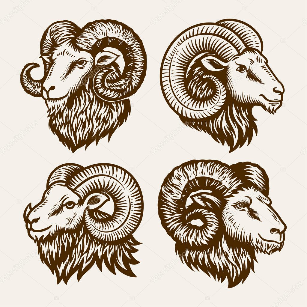 Ram Head Vector Set, Vintage Horned Goat Illustrations