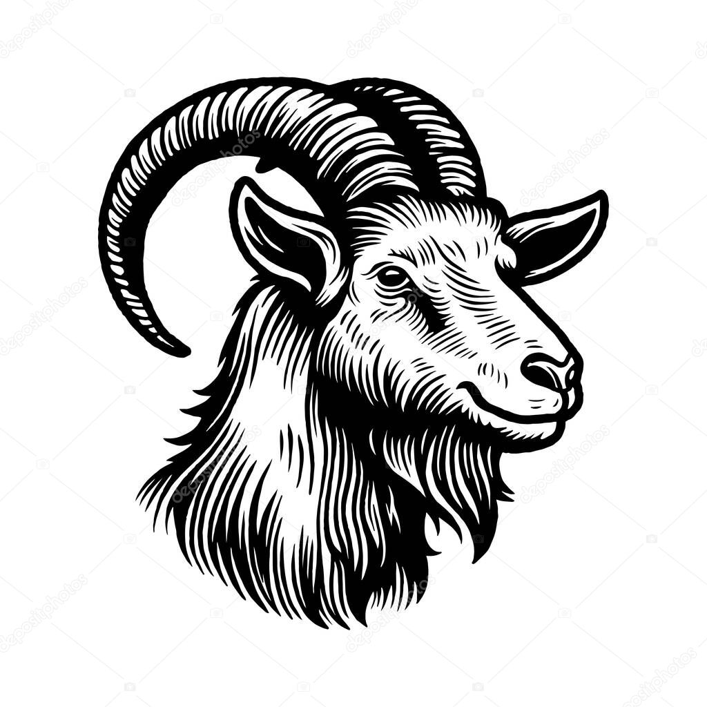 Vintage Black and White Goat Head Illustration