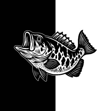 Largemouth Bass Illustration, Hand Drawn Fish Clipart