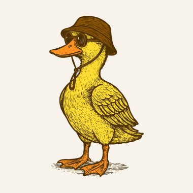 Cool Duck Çizimi, Güneş Gözlüklü Ördek, Komik Ördek Çizimi, Klasik Ördek Çizimi, Kova Şapkalı Hipster Ördeği