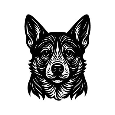 Avustralya Sığır Başı, Siyah ve Beyaz Vektör İllüstrasyonu, Klasik Linocut Biçimi