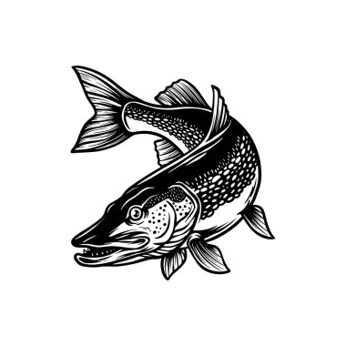 Pike Balık Vektörü, Saldırgan Yırtıcı Pike Tırmanışı, Kuzey Pike İllüstrasyonu, Balıkçı Tişörtü Tasarımı, Siyah ve Beyaz Pike Çizimi
