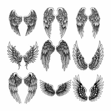 Melek Kanatları Zirvesi, Siyah ve Beyaz Kanatlar, El Tüyü Kanatları, Dövme Biçimli Kanatlar