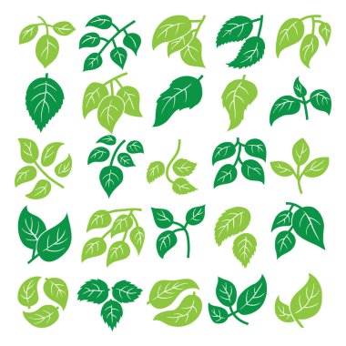 Yeşil Yaprak Vektör Kümesi, Doğa Bitkisi Yaprak Simgesi Koleksiyonu