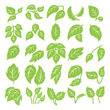  Yeşil Yaprak Vektör Kümesi, Doğa Bitkisi Yaprak Simgesi Koleksiyonu