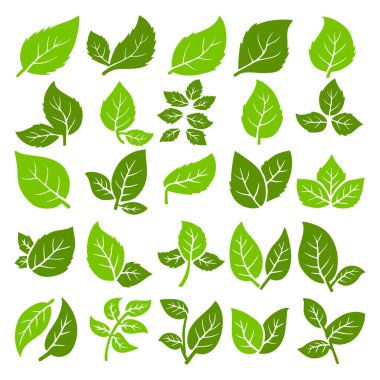 Yeşil Yaprak Vektör Kümesi, Doğa Bitkisi Yaprak Simgesi Koleksiyonu