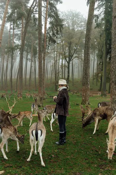 Orman ve geyik arasında duran kadın doğal gücü, bağımsızlık özgürlüğünü sembolize ediyor. Bu görüntü, kadın bağımsızlığı, özgürlük, ilham kendini arama temalarında kullanılabilir..