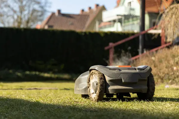 Robot çim biçme makinesi güneşli bir günde çim biçer, günün her saatinde çim biçme makinesi çalışır, çimleri dikkatlice biçer. Yüksek kalite fotoğraf