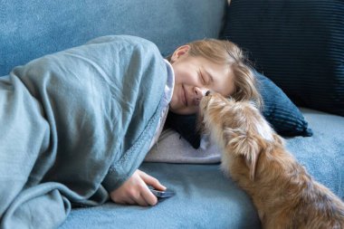 Köpek arkadaşı telefona bakmak için kanepeye uzanan sahibini yalıyor. Köpek sıkıldı ve bakıma ihtiyacı var. Genç yavrular çok aktiftir..