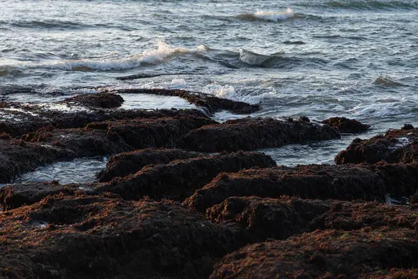 Deniz dalgalarının kıyıya vurduğu yakın çekim, deniz ortamında köpük, sörf ve yosun kaplı taşları gösteriyor. Yüksek kalite fotoğraf