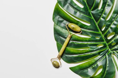 Beyaz zemin üzerinde altın rengi bir anahtar bulunan muz yaprağı yeşil yapraklarla çevrilidir.