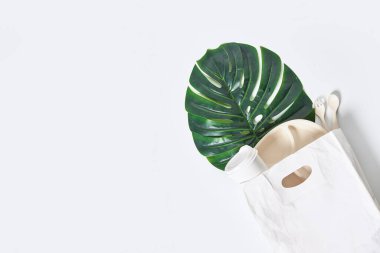 Beyaz arka planda beyaz bir kese kağıdının içinde canavar bir bitki.