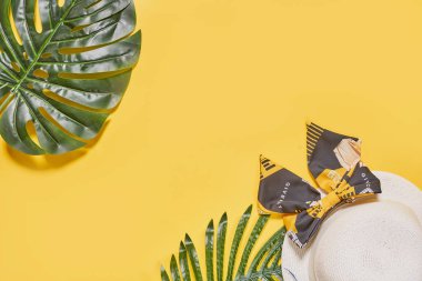 Beyaz şapka ve sarı arkaplanda yeşil yapraklar. Sağ üst köşede metin için boşluk var.