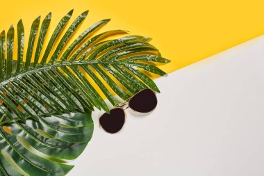 Sarı arkaplanda güneş gözlüğü ve muz yaprağı var. Resimdeki kopya kağıdı yukarıdan.