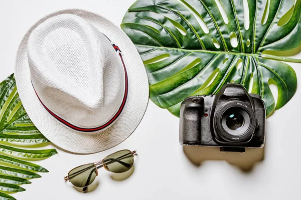 a hat, sunglasses and a camera on a white background with tropical leaves surrounding it is an essential accessory for travel