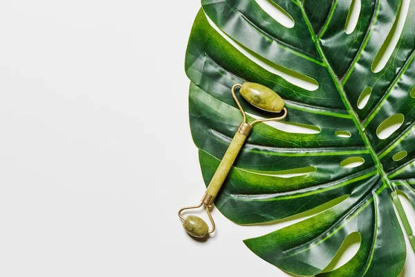 Beyaz zemin üzerinde altın rengi bir anahtar bulunan muz yaprağı yeşil yapraklarla çevrilidir.