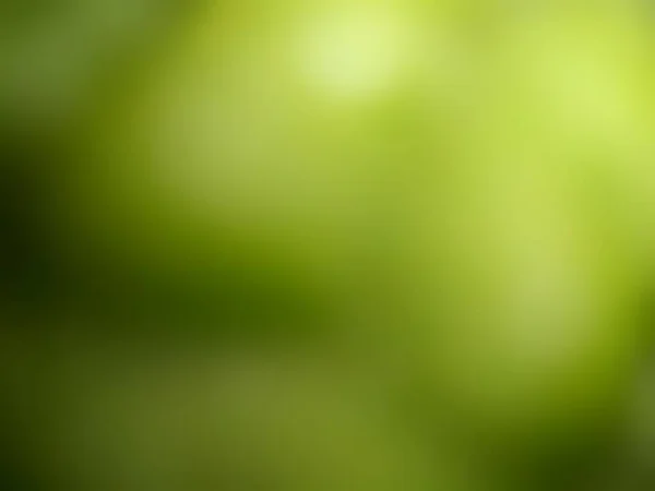 Розмитий Зелений Фон Боке — стокове фото