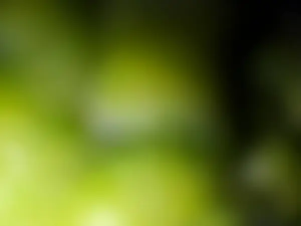 Abstract Green Background Blurred Defocused Texture — Stock Photo, Image