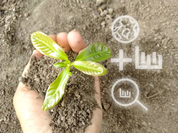 save world plant eco green