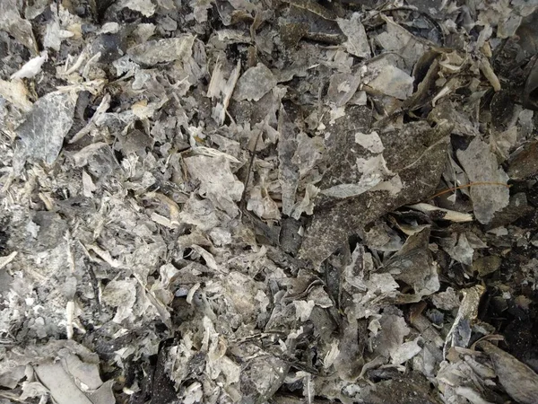 close up of a pile of dry ash
