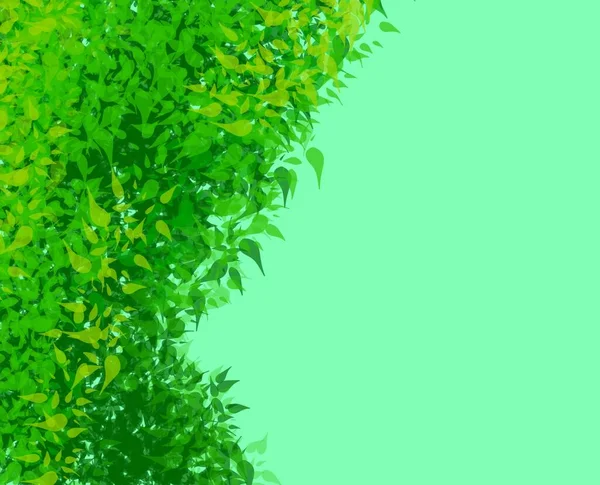 Green Grass Texture Green Card Template — Stock Photo, Image
