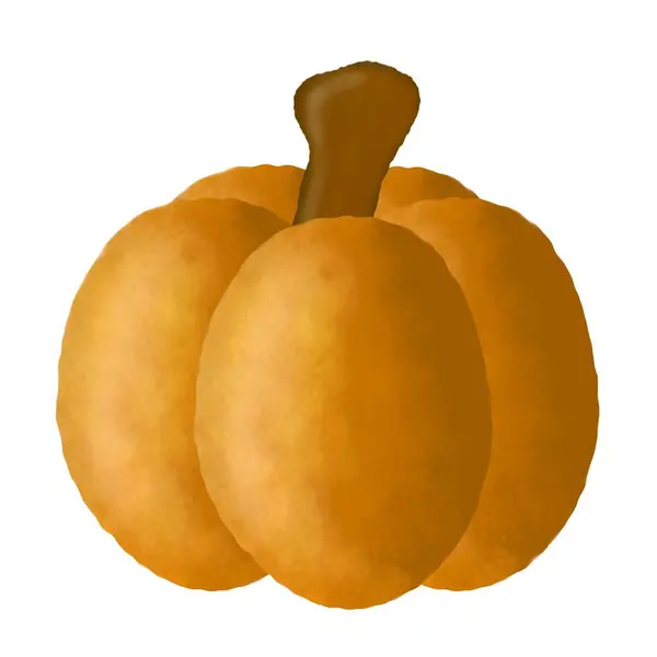 Pumpkin White Background — Stock Photo, Image