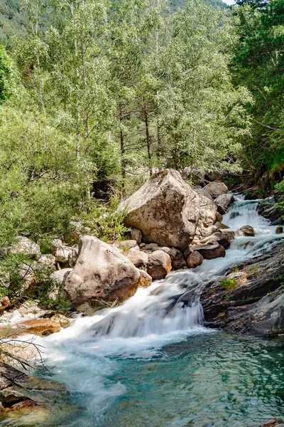 Mountain Stream Rushing Forest Boulders Surrounded Trees — Stock Photo, Image