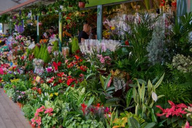 Tenerife, Spain - January 21, 2023: Outdoor plant sale stand with a multitude of species.