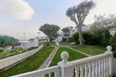 General view from the railing of a holiday apartment and in the background a small group of dragon trees in the city of Tacoronte in Tenerife, Canary Islands