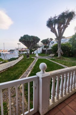 General view from the railing of a holiday apartment and in the background a small group of dragon trees in the city of Tacoronte in Tenerife, Canary Islands