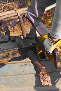 Elektrikli testereyle odun kesen işçiler, odaklanmış ve etkili..