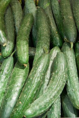 Taze yeşil salatalıklar, sağlıklı beslenme ve doğal pişirme için ideal sıraya dizilmişler. Salatalıklar, tazeliklerini ve canlı renklerini vurgulamak için düzenlenmiştir..