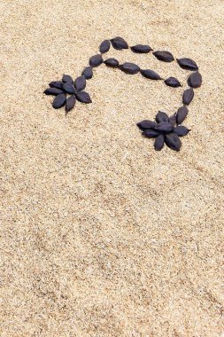 Dark seed pods arranged on light sand forming a musical note, perfect for themes of nature and music. clipart