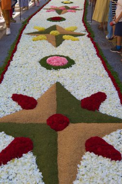 Bu görüntü, açık hava kültürel etkinliklerinde geometrik şekillerde düzenlenmiş canlı, renkli bir çiçek halısı yakalar. Bulanık seyirci figürleri her iki tarafta da görülebilir..