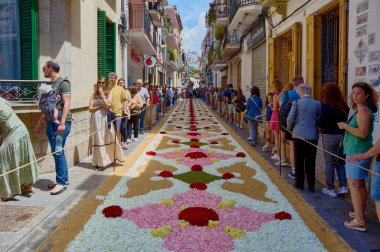 Sitges, Barcelona, İspanya-3 Haziran 2024: Halk, renkli taç yapraklarıyla pitoresk bir kasabanın kaldırımını kaplayan kısa ömürlü bir sanat eseri için bir araya geliyor.
